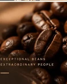 Hands cupping roasted coffee beans with warm lighting